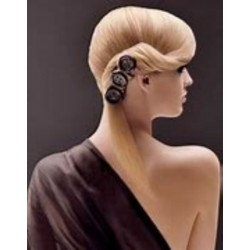 CHIGNON CHEVEUX LONG